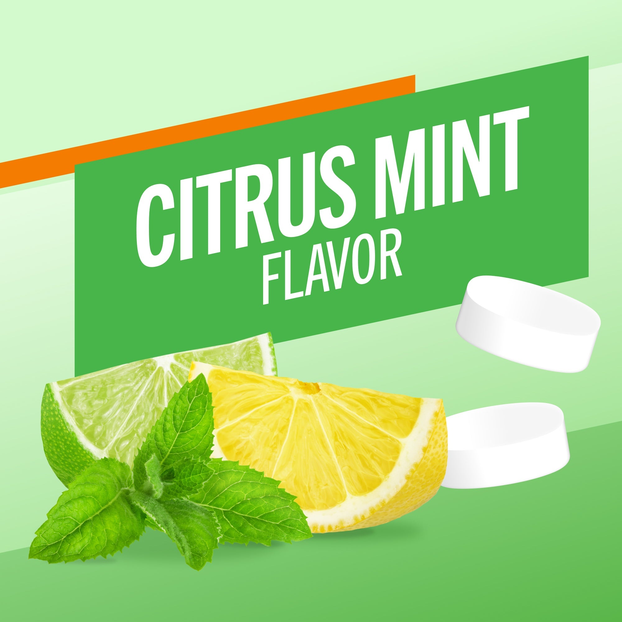Fresh Breath Chewing Gum, Citrus Mint Flavor (QZ3B)