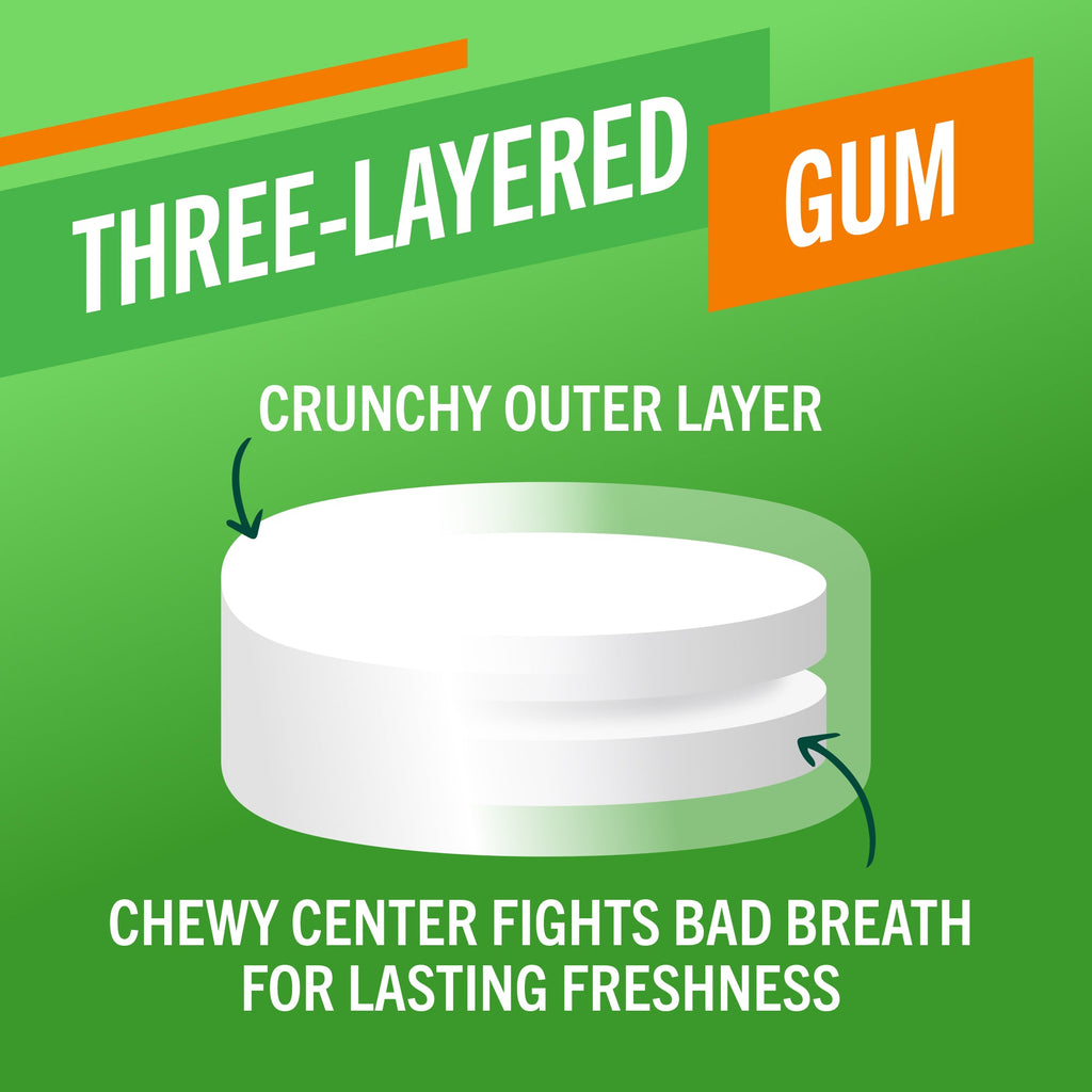 Fresh Breath Chewing Gum, Citrus Mint Flavor (QZ3B)