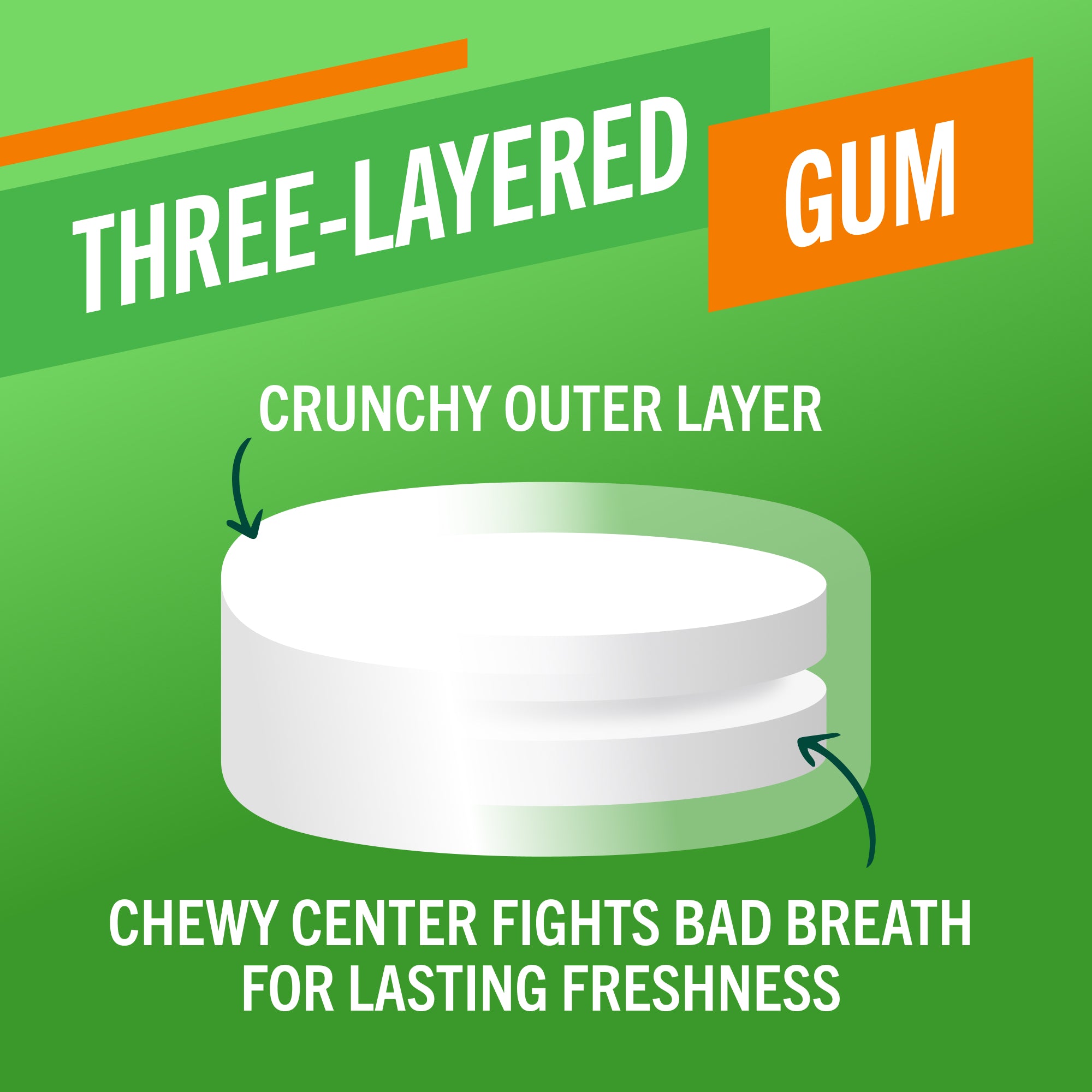 Fresh Breath Chewing Gum, Citrus Mint Flavor (QZ3B)