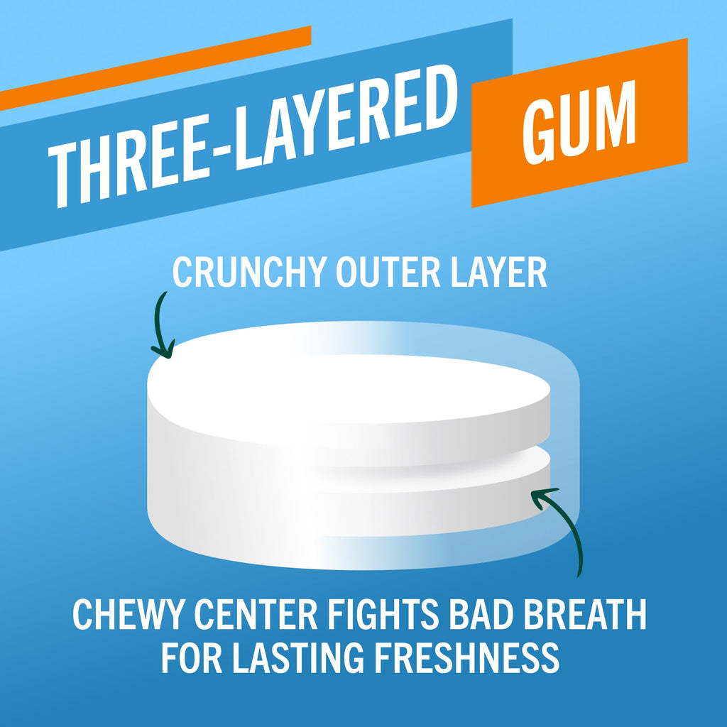 Chewing Gum, Invigorating Icy Mint Flavor (MWT8)